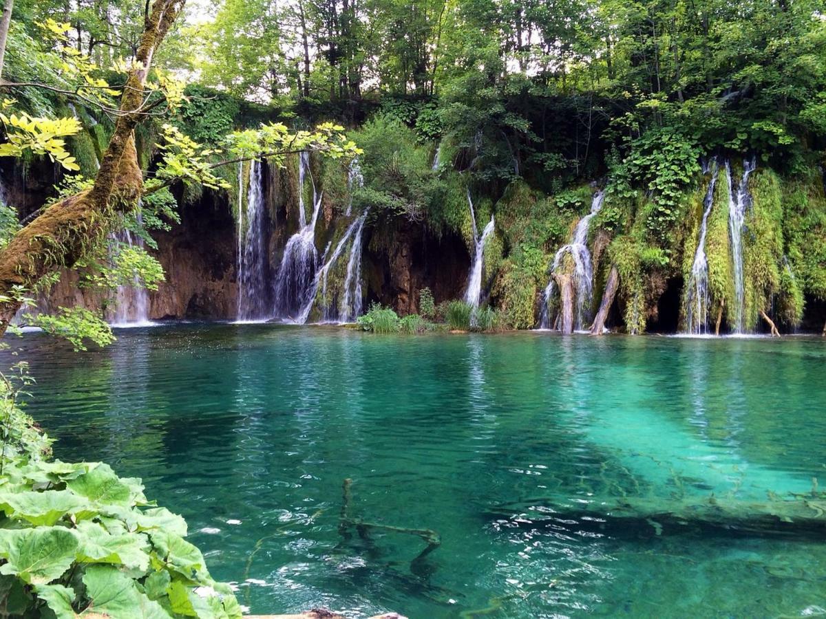 Fenomen Plitvice Resort Plitvička Jezera エクステリア 写真